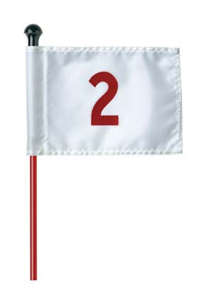 Set de 9 Banderas Genéricas con Base para Mini Golf